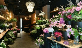 intérieur de la boutique