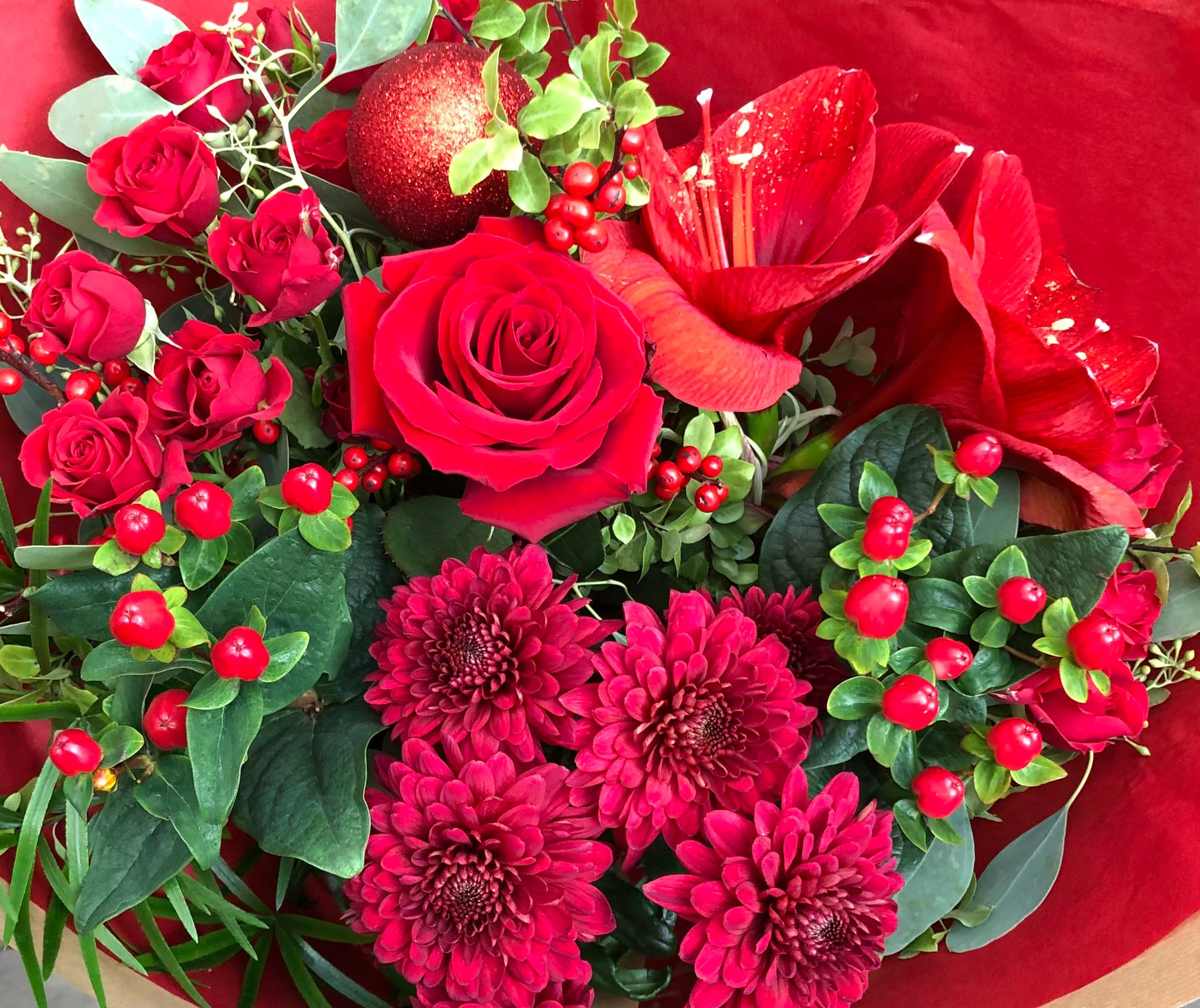 WhatsApp Image 2023-11-24 at 09.08.56