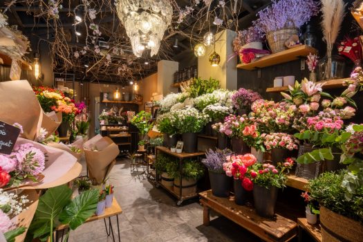 @GLEMET_Magasins01_4L4A4891-HDRHD