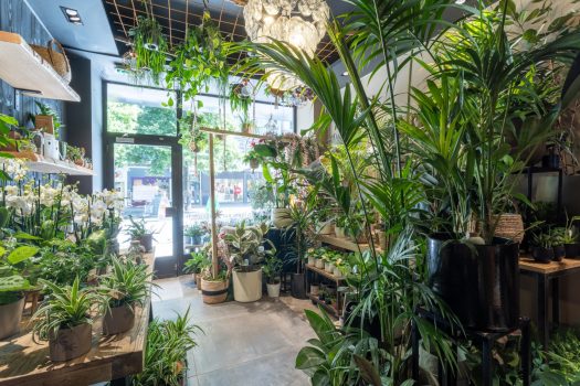 @GLEMET_Magasins11_4L4A4920-HDRHD