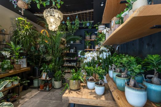 @GLEMET_Magasins12_4L4A4948-HDRHD