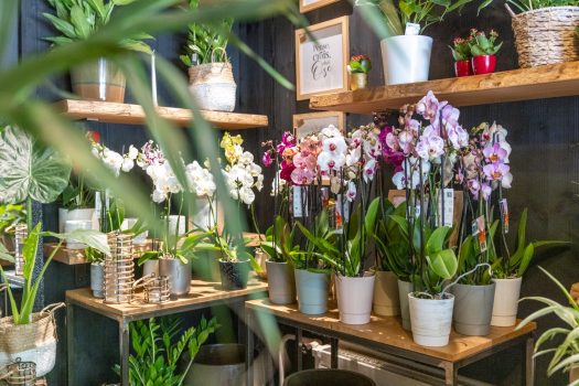 @GLEMET_Magasins18_190A5431HD